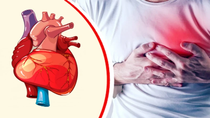 হার্ট অ্যাটাক শুধু ব্লকেজে নয়! অদৃশ্য ঝুঁকি ধরতে কী পরীক্ষা করবেন