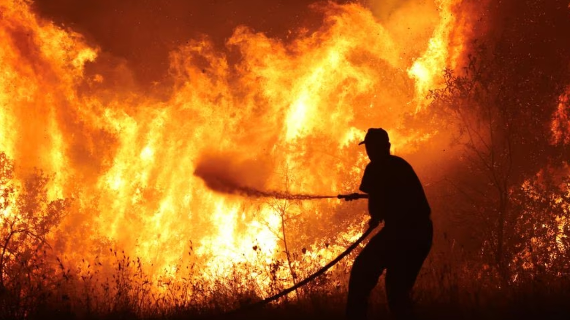 দাবানলে বিপর্যস্ত অস্ট্রেলিয়া, ঘোষণা করা হলো দুর্যোগ পরিস্থিতি