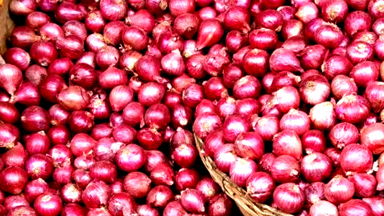 অভ্যুত্থানের পর পেঁয়াজ-রসুনসহ ২০টি নিত্য প্রয়োজনীয় কৃষি পণ্যের দাম কমেছে