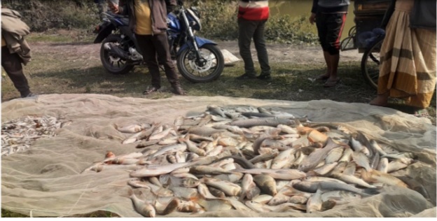 বগুড়ার সান্তাহার ইউপিতে পুকুরে বিষ দিয়ে সাড়ে ৬ লাখ টাকার মাছ নিধনের অভিযোগ